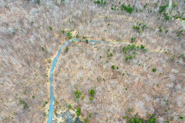 LOT10 Blair Hill Rd, Greenville, ME 04441 - photo 8