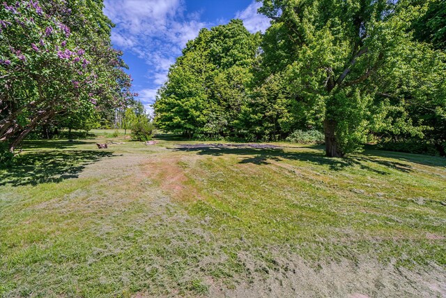 176 Bagley Hill Rd, Troy, ME 04987 - view of green lawn