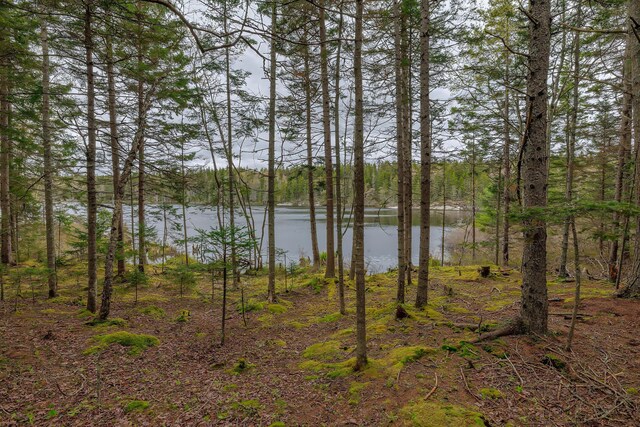 176 N Main St, Stonington, ME 04681 - photo 33