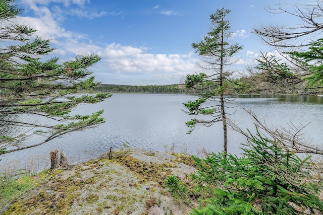 176 N Main St, Stonington, ME 04681 - photo 34