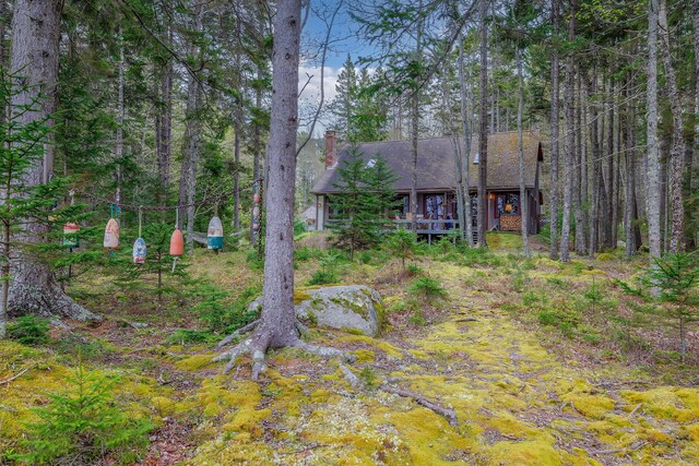 176 N Main St, Stonington, ME 04681 - photo 36