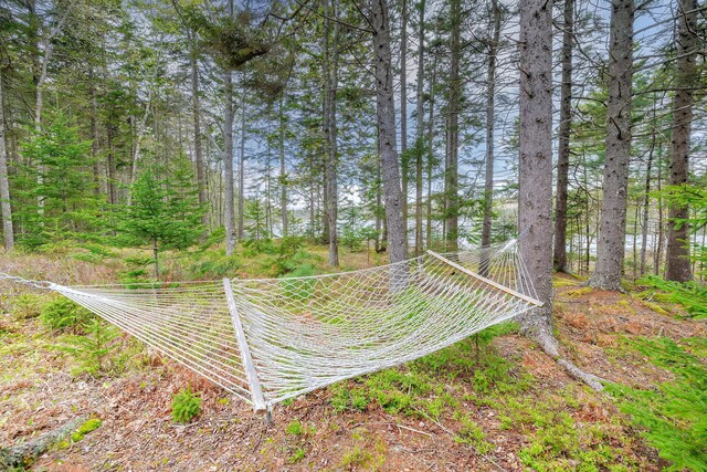 176 N Main St, Stonington, ME 04681 - photo 37