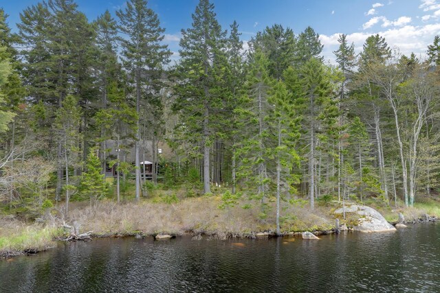 176 N Main St, Stonington, ME 04681 - photo 40