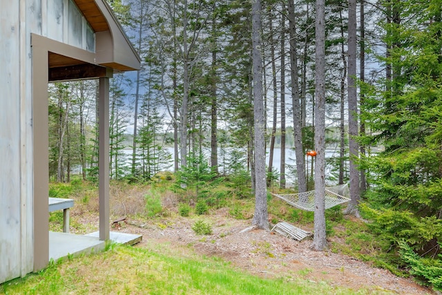 176 N Main St, Stonington, ME 04681 - photo 42