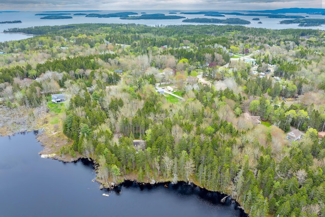 176 N Main St, Stonington, ME 04681 - photo 47