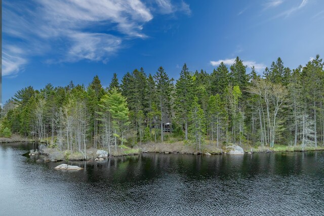 176 N Main St, Stonington, ME 04681 - photo 49