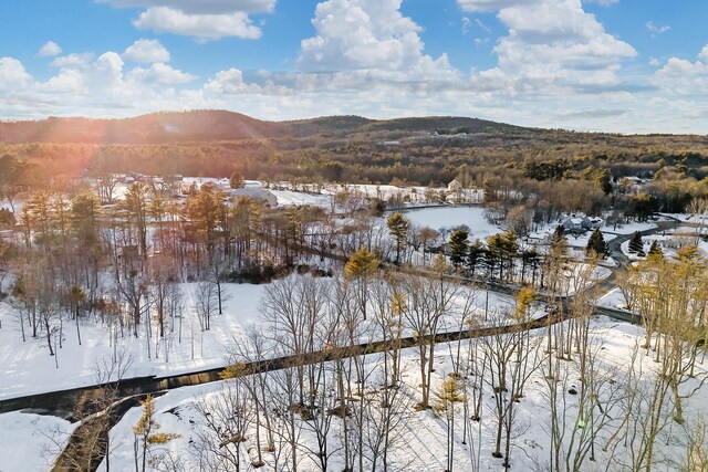 TBD Ridge Ter Lot 6, North Berwick, ME 03906 - photo 4