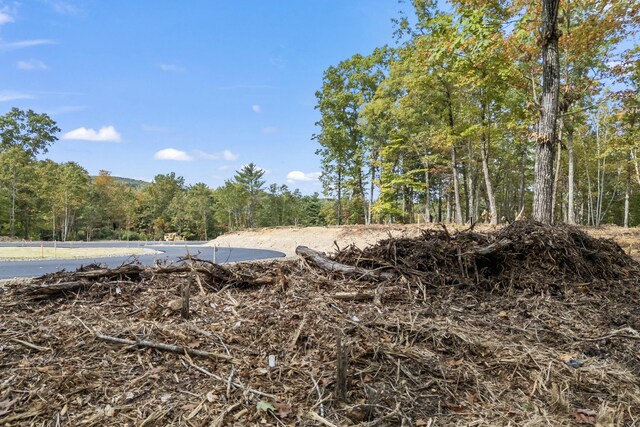 TBD Ridge Ter Lot 6, North Berwick, ME 03906 - photo 8