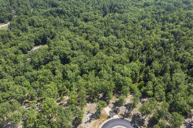 TBD Ridge Ter Lot 6, North Berwick, ME 03906 - photo 6