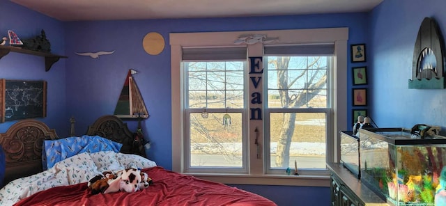 110 Bog Rd, Limestone, ME 04750 - view of bedroom