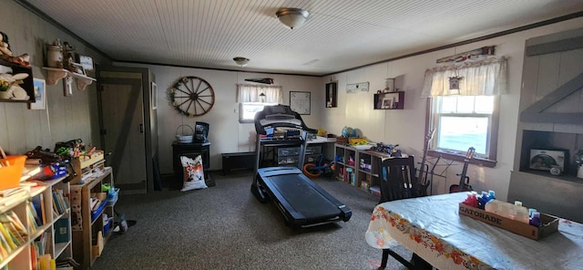 110 Bog Rd, Limestone, ME 04750 - workout area with plenty of natural light, carpet floors, and ornamental molding