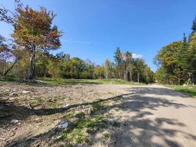 LOT7-3 Brown Rd, Oakfield, ME 04763 - photo 9