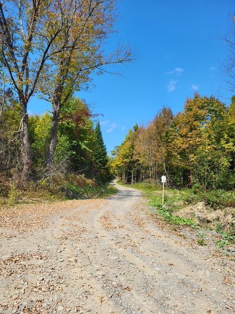 LOT7-3 Brown Rd, Oakfield, ME 04763 - photo 20