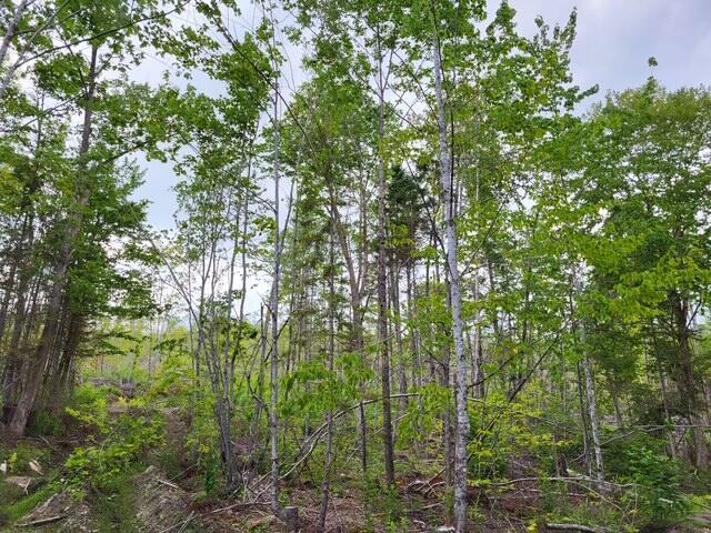 LOT7-3 Brown Rd, Oakfield, ME 04763 - photo 14