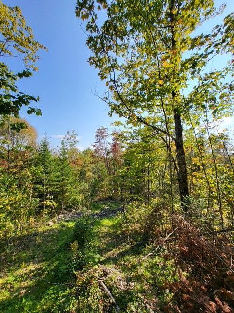 LOT7-3 Brown Rd, Oakfield, ME 04763 - photo 12