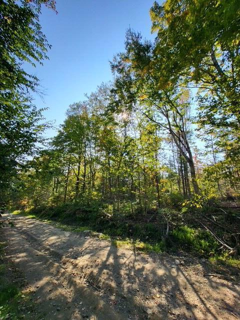 LOT7-3 Brown Rd, Oakfield, ME 04763 - photo 5