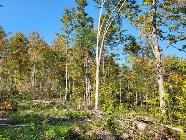 LOT7-3 Brown Rd, Oakfield, ME 04763 - photo 17