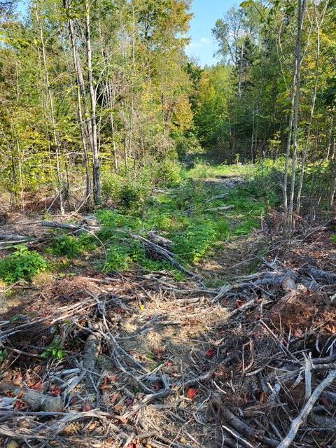 LOT7-3 Brown Rd, Oakfield, ME 04763 - photo 10