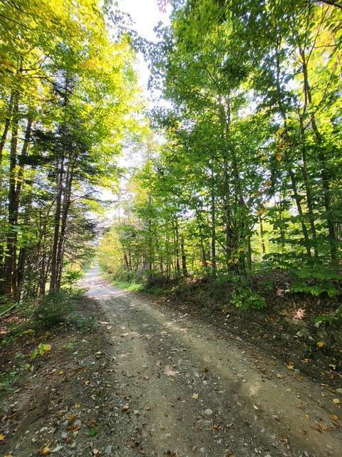 LOT7-3 Brown Rd, Oakfield, ME 04763 - photo 3
