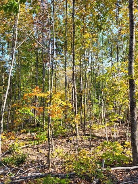 LOT7-3 Brown Rd, Oakfield, ME 04763 - photo 18