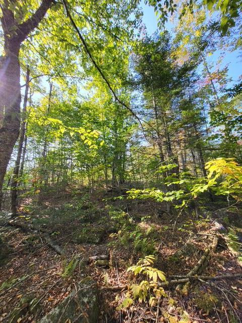 LOT7-3 Brown Rd, Oakfield, ME 04763 - photo 15