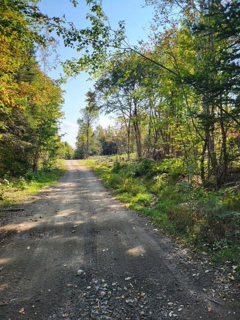LOT7-3 Brown Rd, Oakfield, ME 04763 - photo 4