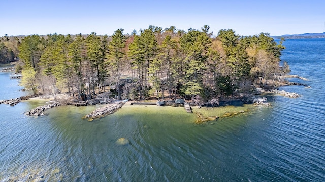 54 Papoose Island Rd, Raymond, ME 04071 - water view with a forest