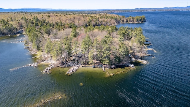 54 Papoose Island Rd, Raymond, ME 04071 - aerial overview of property's location featuring a forest and a water and mountain view