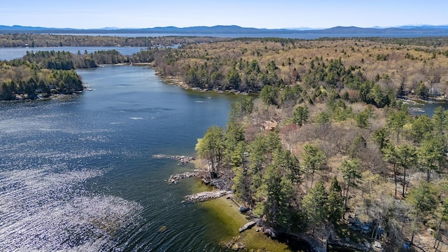 54 Papoose Island Rd, Raymond, ME 04071 - view of property location featuring a water and mountain view and a forest