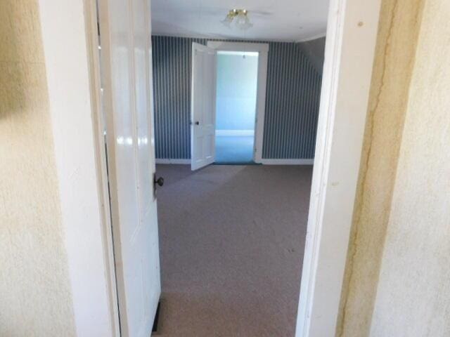 10 Summer St, Calais, ME 04619 - hall with carpet