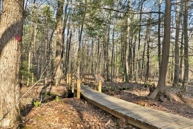 7 Acorn Cir Unit 7, Kennebunk, ME 04043 - view of home's community