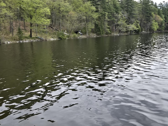 M7L104-1 Lake George, Canaan, ME 04924
