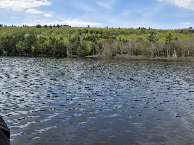 M7L104-1 Lake George, Canaan, ME 04924