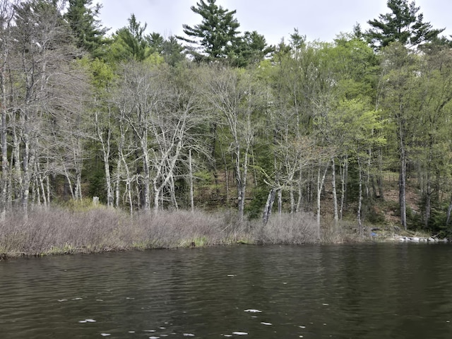 M7L104-1 Lake George, Canaan, ME 04924