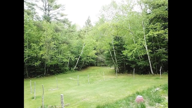 20 Lady Jennifer Dr, Biddeford, ME 04005 - view of green lawn with a view of trees