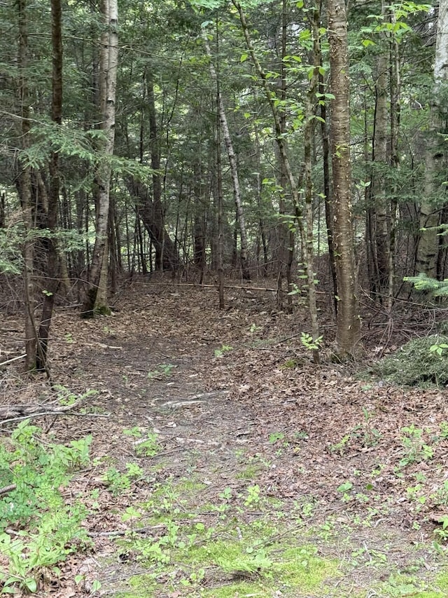 20 Lady Jennifer Dr, Biddeford, ME 04005 - view of wooded area