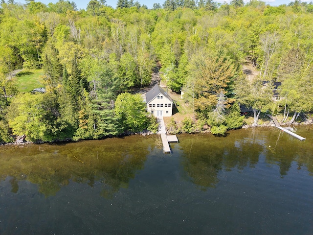 1809 Embden Pond Rd, Embden, ME 04958 - view of subject property featuring a forest and a large body of water