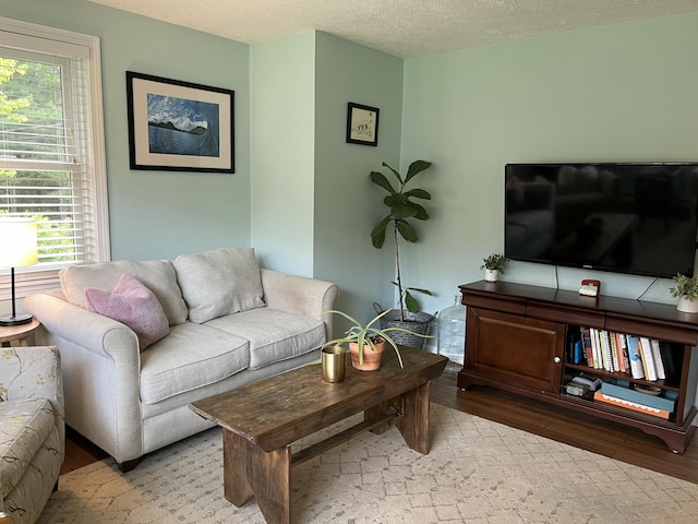39 Thompson St, Wells, ME 04090 - living room featuring wood finished floors, healthy amount of natural light, and a textured ceiling