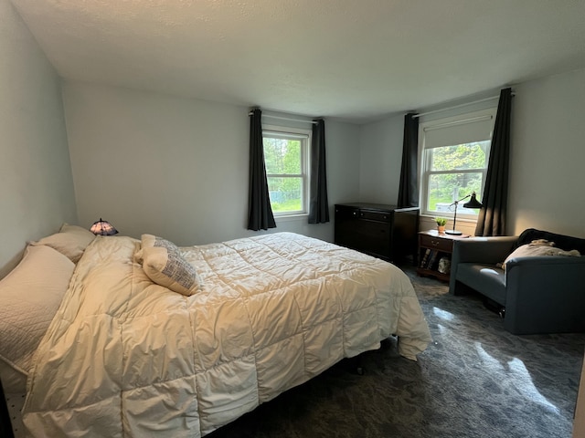 39 Thompson St, Wells, ME 04090 - bedroom with multiple windows and carpet flooring