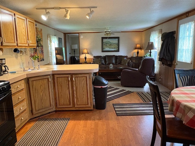 1236 Waldo Station Rd, Waldo, ME 04915 - kitchen with a peninsula, a sink, light wood-type flooring, light countertops, and crown molding