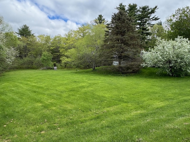 1236 Waldo Station Rd, Waldo, ME 04915 - view of grassy yard