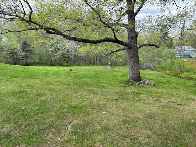 1236 Waldo Station Rd, Waldo, ME 04915 - view of green lawn