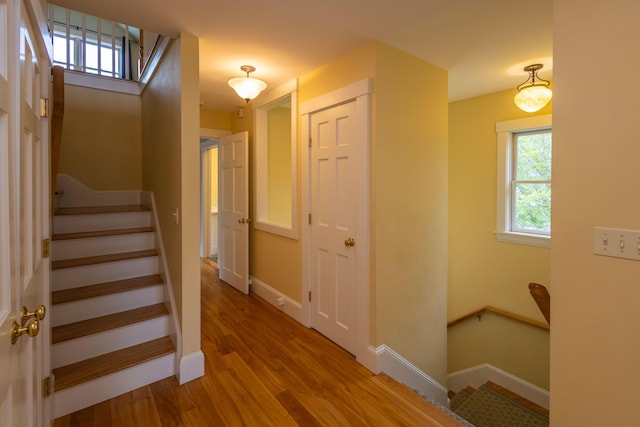 17 Spruce St, Rockport, ME 04856 - stairway with wood finished floors and baseboards
