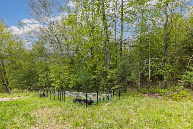 80 Hubbard Rd, Berwick, ME 03901 - view of yard with a wooded view