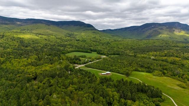 2222 Main Rd, Chatham, NH 03813 - view of mountain backdrop with a forest
