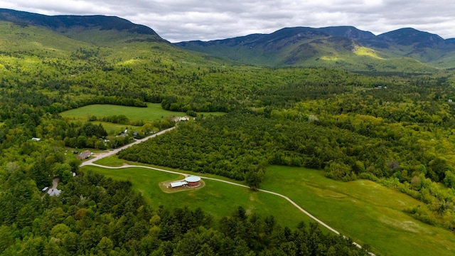 2222 Main Rd, Chatham, NH 03813 - bird's eye view of a forest and mountains