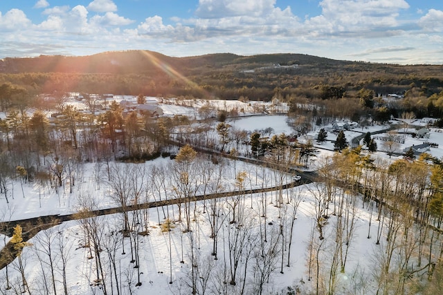 TBD Ridge Ter Lot 7, North Berwick, ME 03906