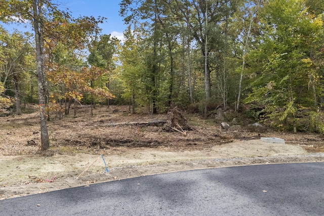 TBD Ridge Ter Lot 7, North Berwick, ME 03906