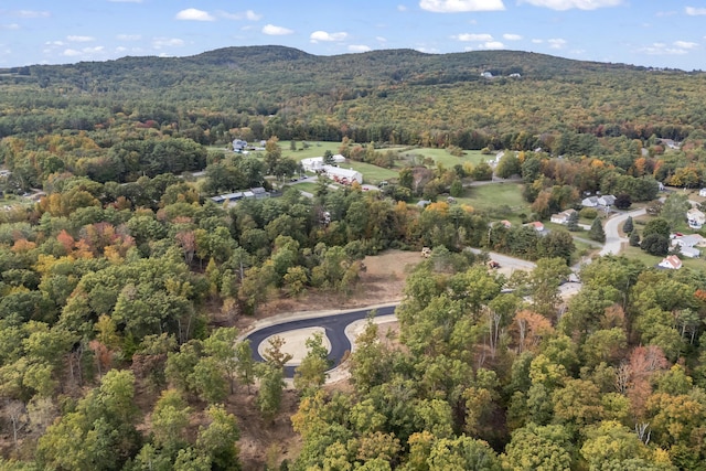 TBD Ridge Ter Lot 7, North Berwick, ME 03906