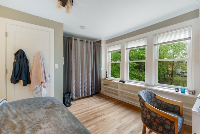 4 University Pl, Orono, ME 04473 - bedroom featuring light wood-style flooring